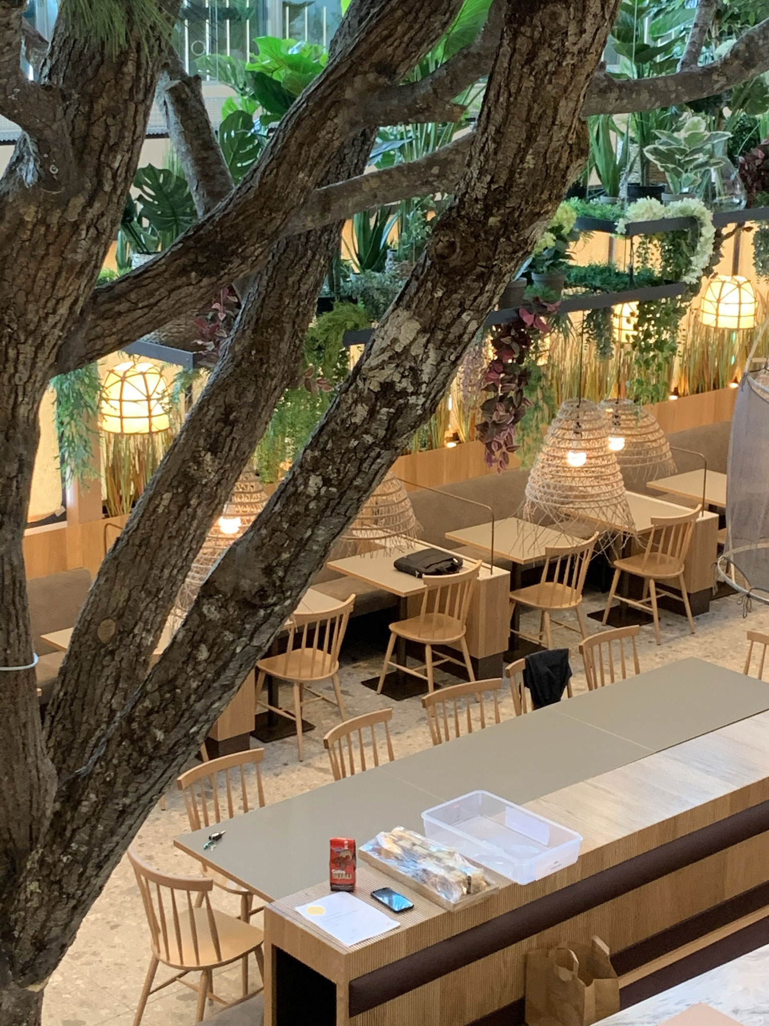 Ambiance champêtre dans ce restaurant : murs végétaux, luminaires natures, matériaux bruts, banquettes sur-mesure et douces couleurs. 