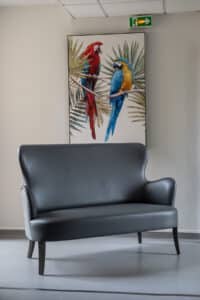 Canapé deux places gris foncé devant un tableau de deux aras colorés (rouge et bleu/jaune) et un panneau de sortie de secours.