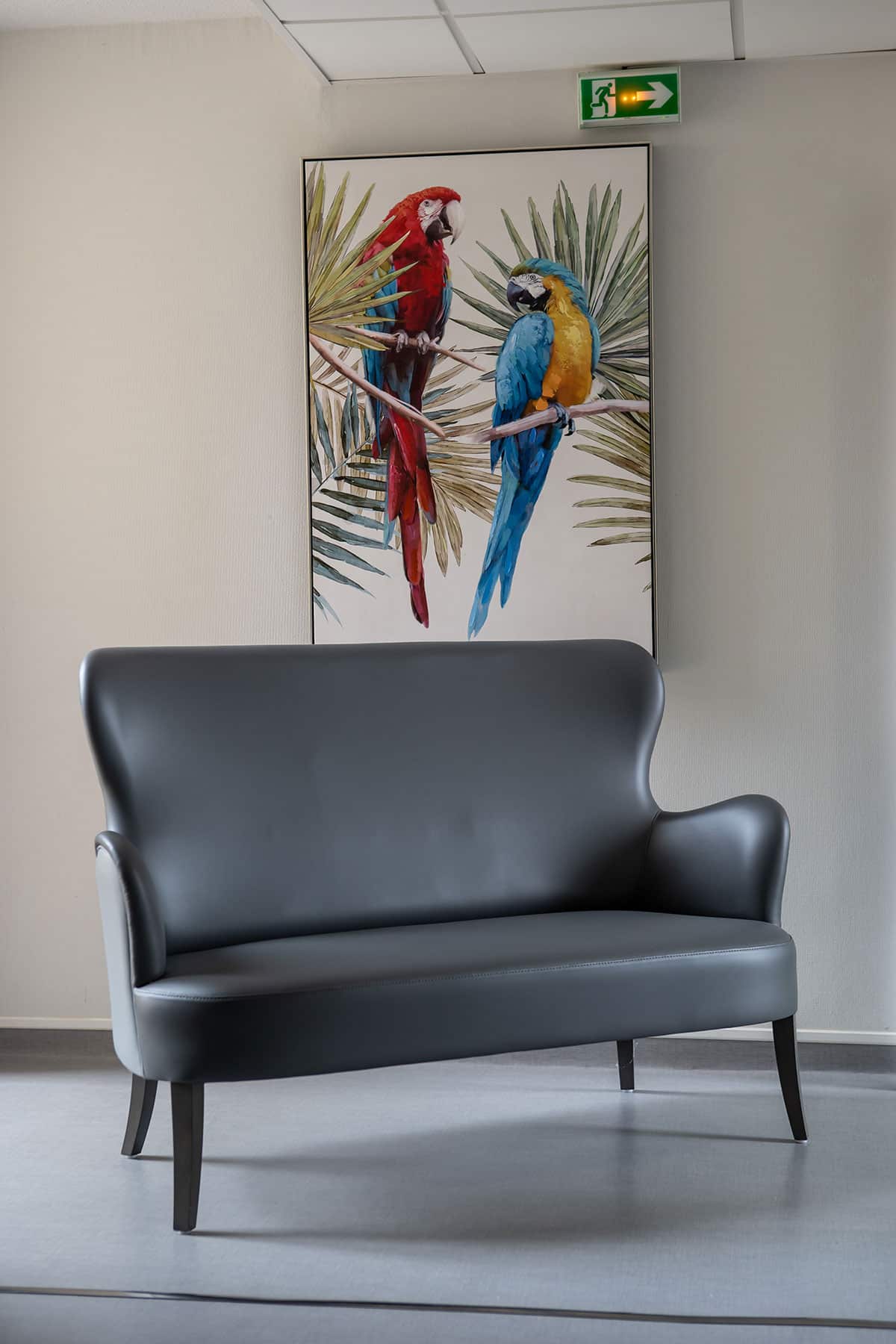 Canapé deux places gris foncé devant un tableau de deux aras colorés (rouge et bleu/jaune) et un panneau de sortie de secours.