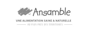 Logo Ansamble : Alimentation Saine et Locale Logo de Ansamble avec des formes stylisées de sacs/caisse et le slogan « UNE ALIMENTATION SAINE & NATURELLE AU PLUS PRÈS DES TERRITOIRES ».